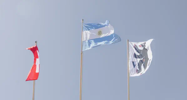Calidad, innovación y compromiso